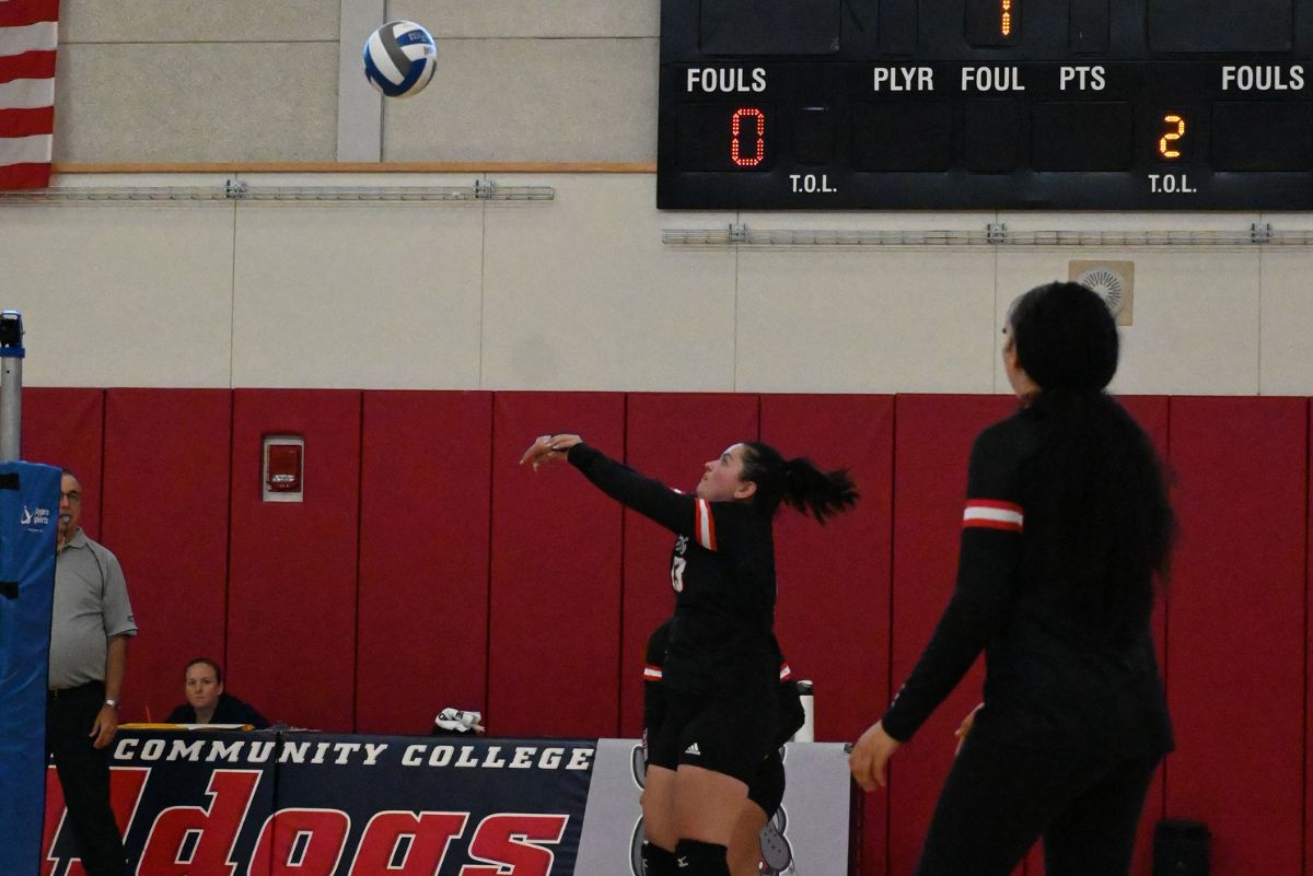 Volleyball player at a bhcc game