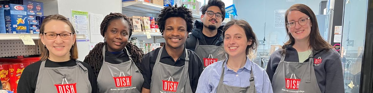 dish team 