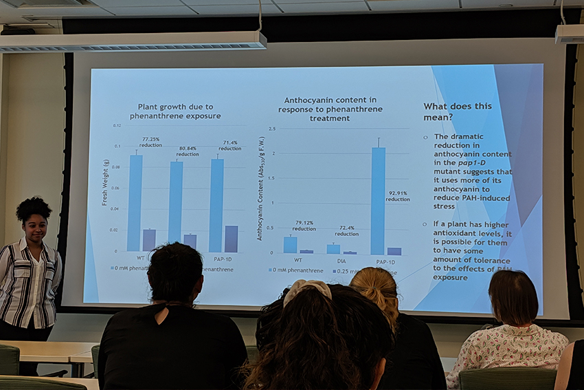 student STEM internship presentation