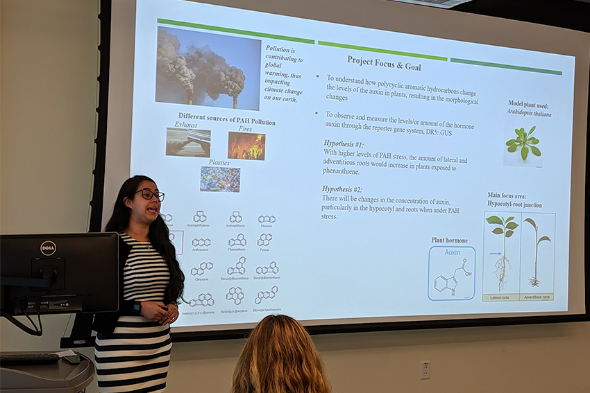 student STEM internship presentation