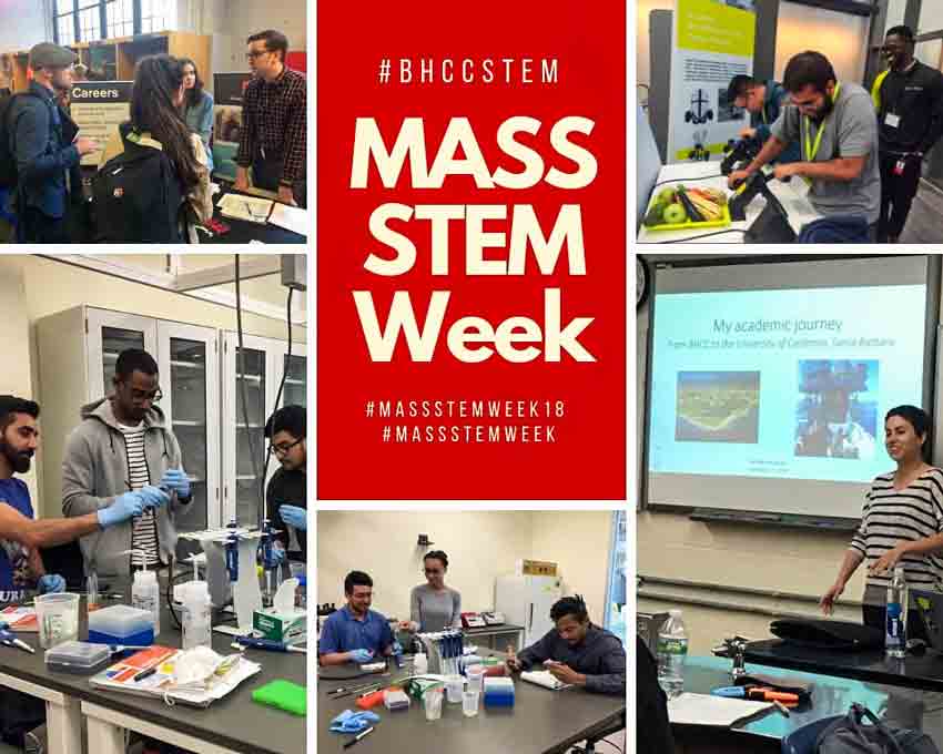 STEM Week collage