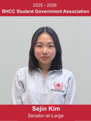 Sejin Kim