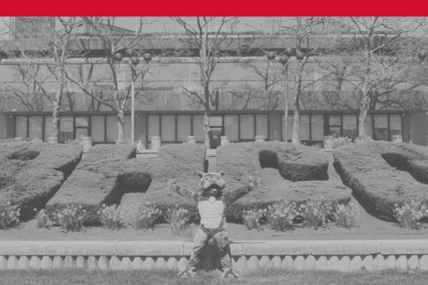 BHCC background with bhcc bulldog