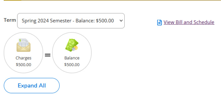 The Account Activity page. You can see your charges and balance for a semester. The View Bill and Schedule button is on the right.